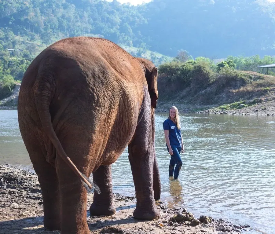 Chloe in a river beside an elephant