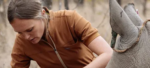Chloe treating a rhino during a dehorning