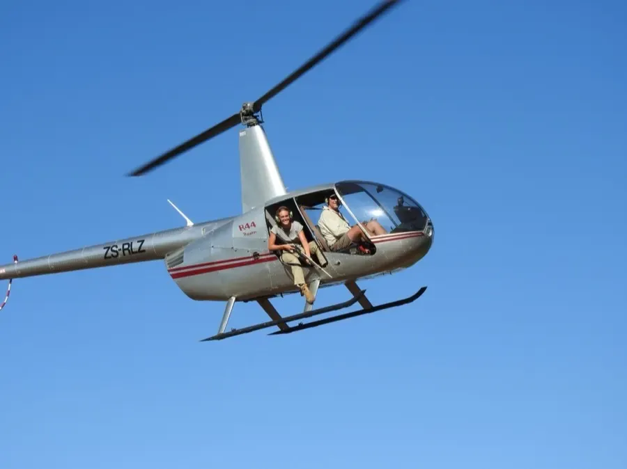 A helicopter flying low for a darting operation