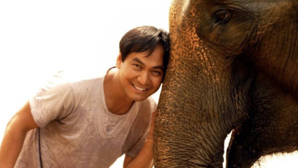 Male veterinarian smiling and leaning against an elephants trunk