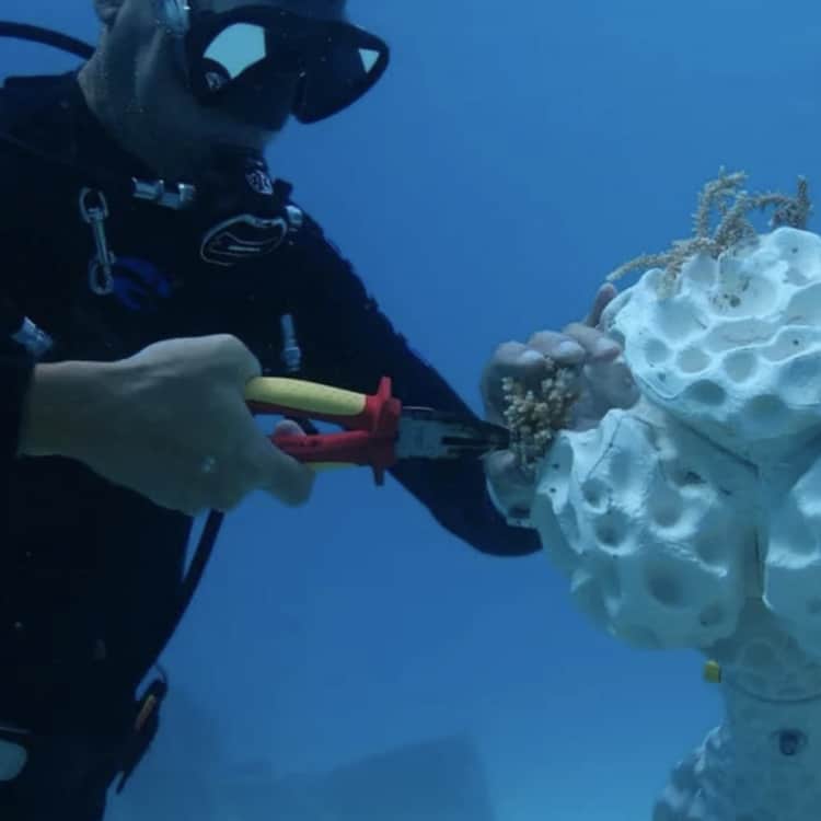 World's largest 3D-printed reef installed in Maldives to help save corals